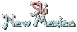 SKI